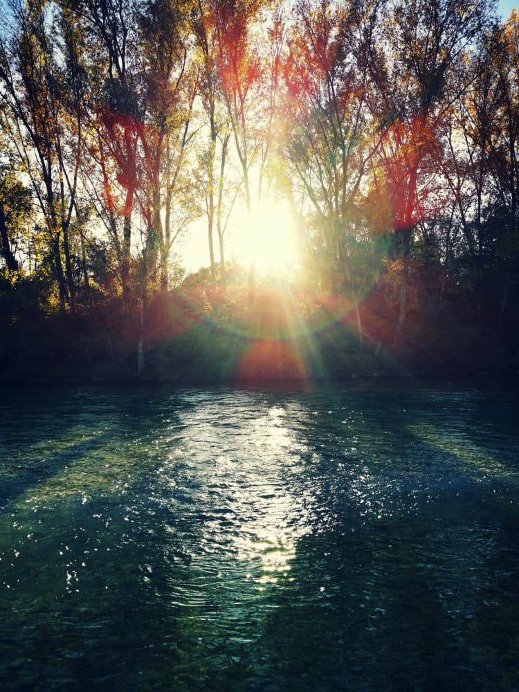Golden River Sunlight by Angelo Cerantola — canvas wall art