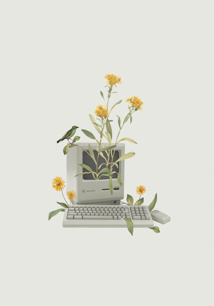 Blossoming Old Computer by Frida Floral Studio — canvas wall art