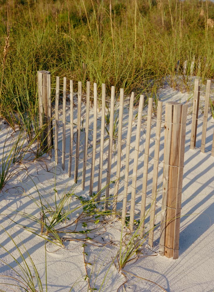 Dune Fence Shadows by Bethany Young — canvas wall art