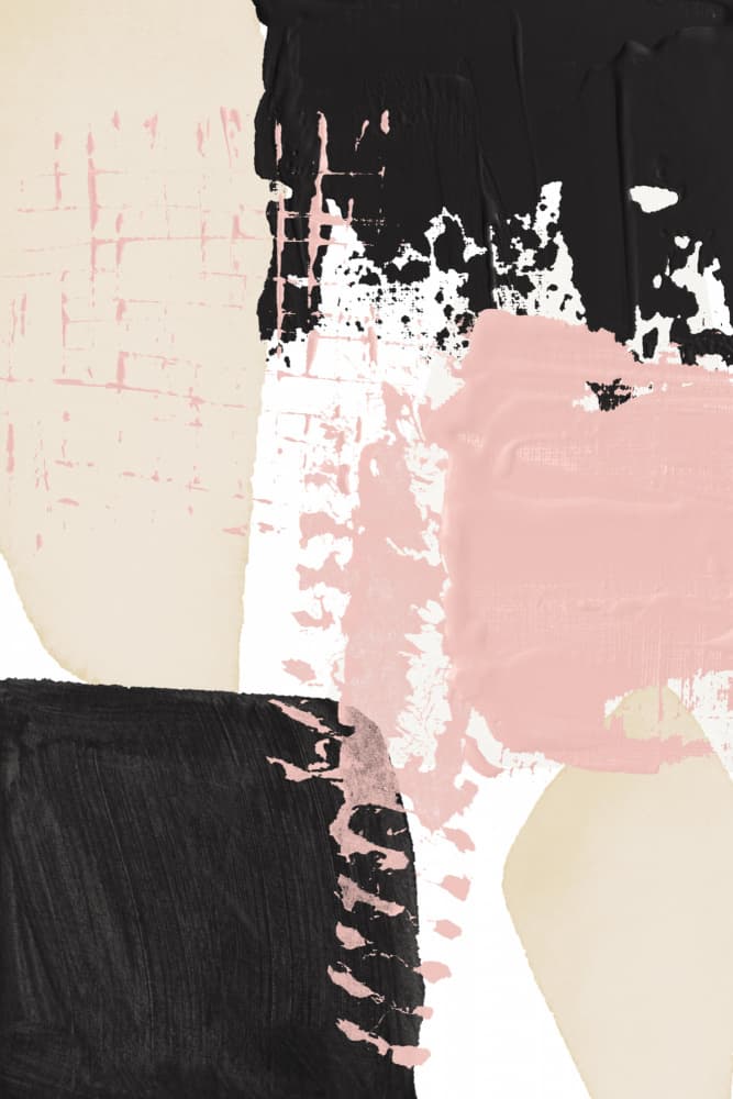 Blush Black Abstract Forms by Sally Ann Moss — canvas wall art