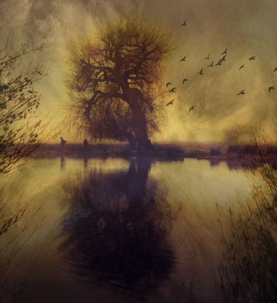 Golden Tree Reflection by Robert Fabrowski — canvas wall art