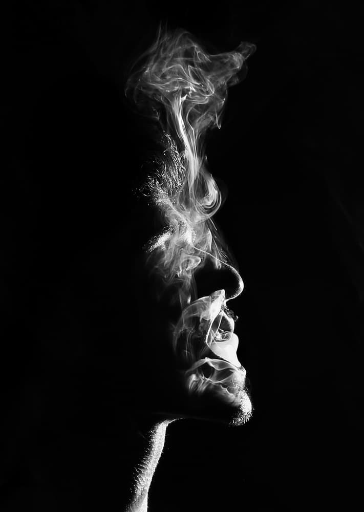 Profile In Smoke by Paulo Medeiros — canvas wall art