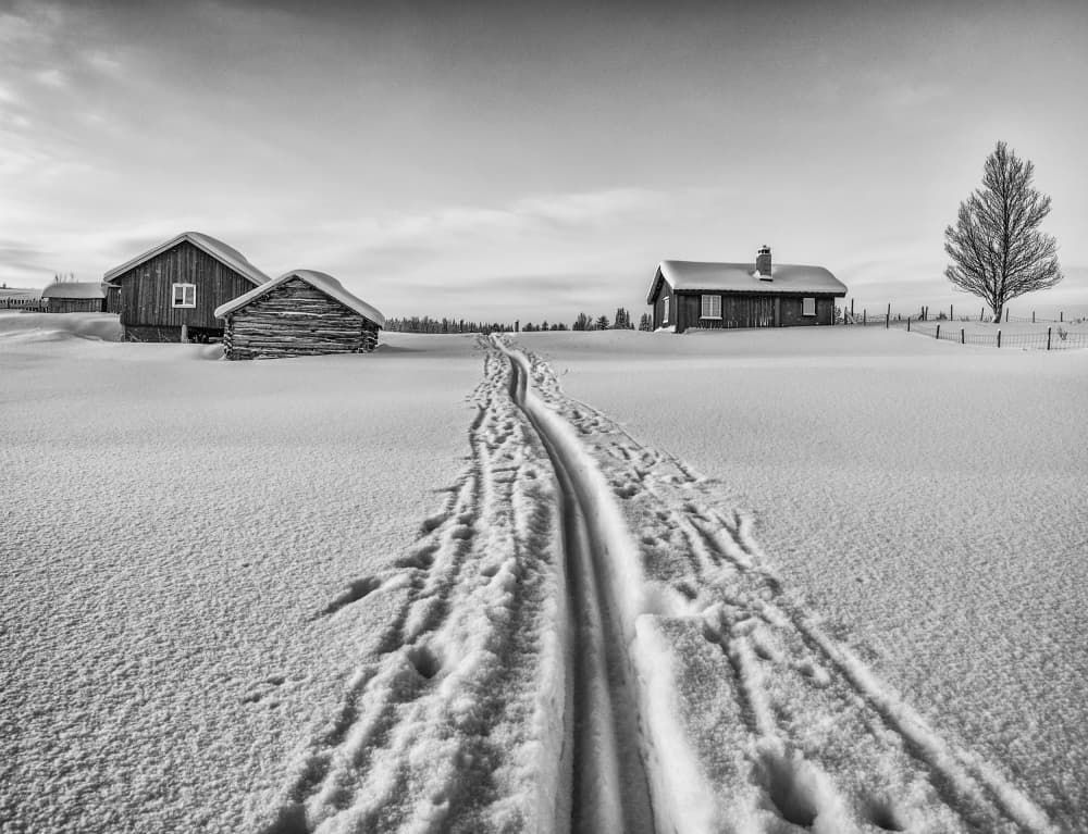 Snowy Cabin Ski Tracks by Ole Walter Sundlo — canvas wall art