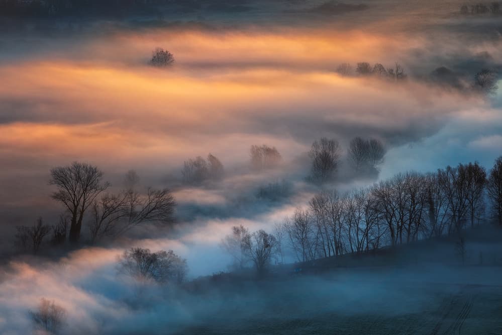 Golden Valley Fog by Fiorenzo Carozzi — canvas wall art