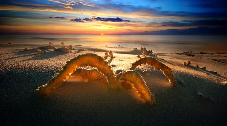 Frozen Beach Sunset Glow by paralaxa — canvas wall art