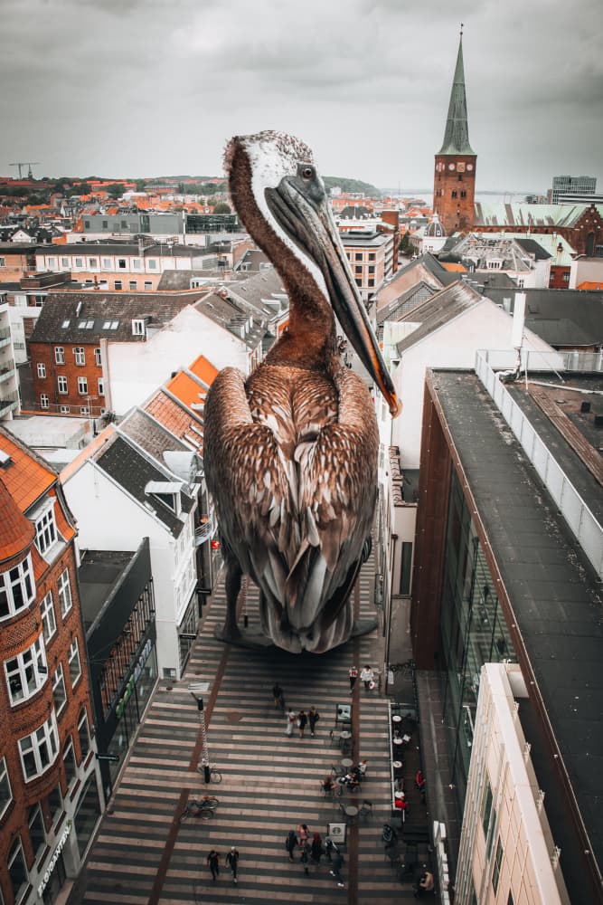 Giant Pelican City by Marcus Hennen — canvas wall art