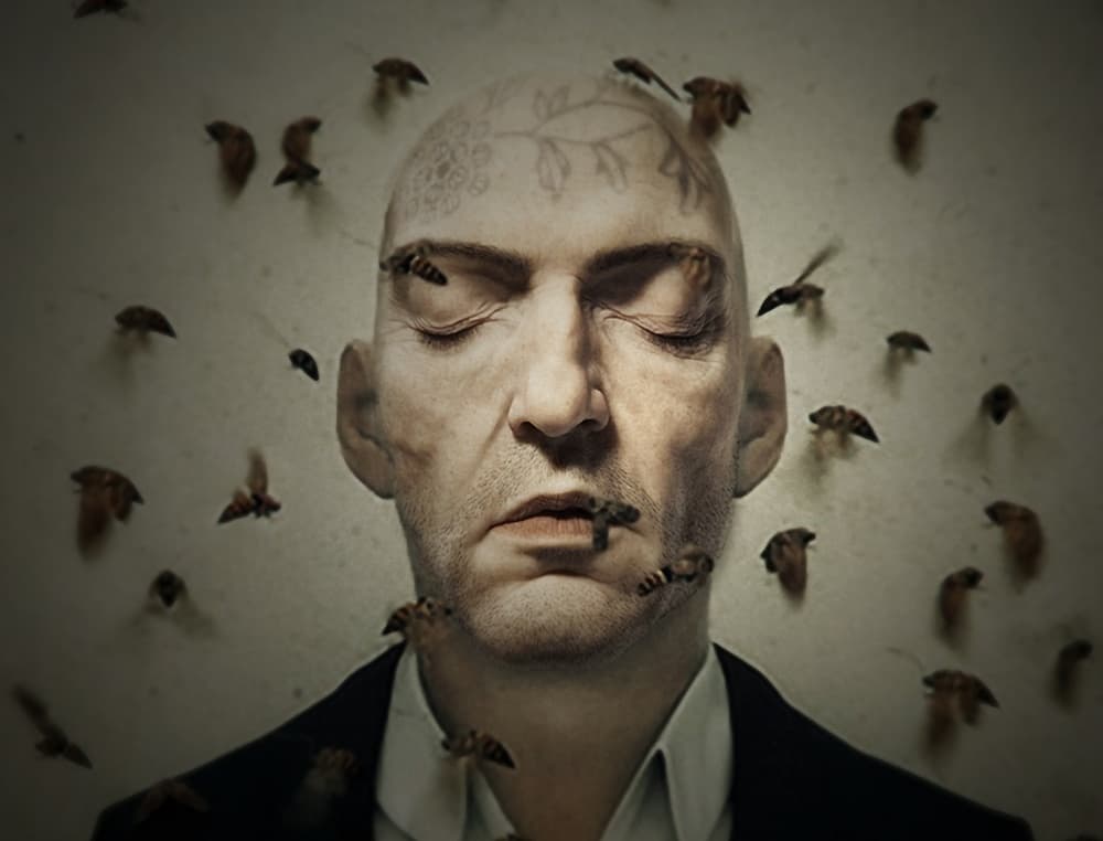 Swarming Mind by Holger Droste — canvas wall art