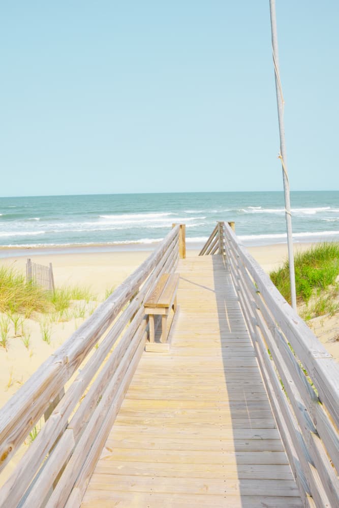 Coastal Boardwalk Path by Jemma Morris — canvas wall art