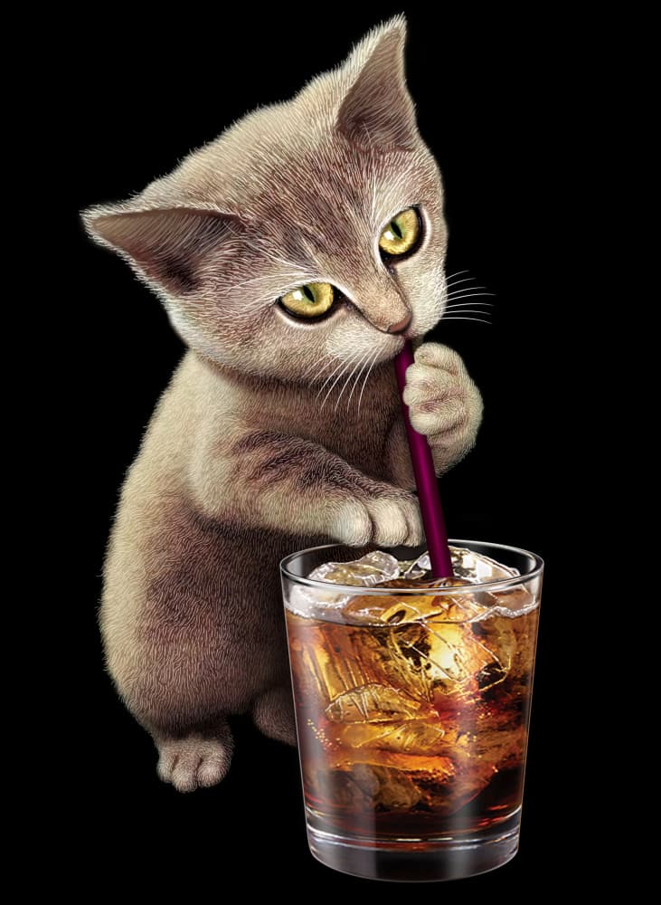 Cute Cat Sips Soda by Adam Lawless — canvas wall art