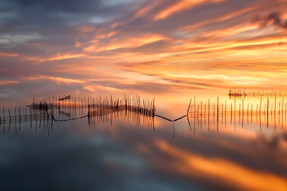 Golden Hour Fishing Nets