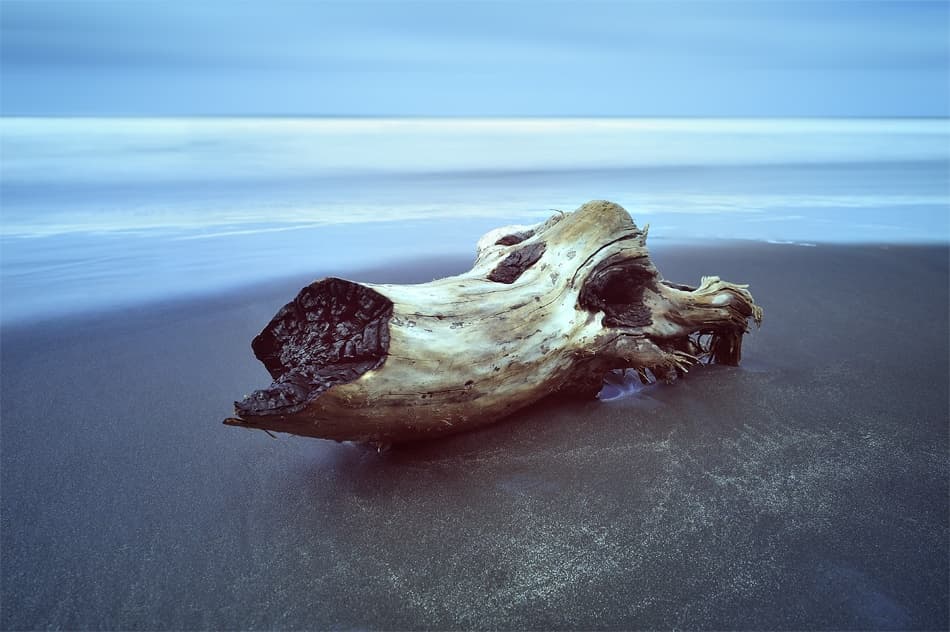 Driftwood Blue Shore by Andrea Auf dem Brinke — canvas wall art