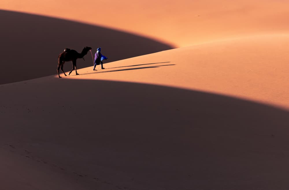 Golden Hour Desert Journey by Muljati Hidajat — canvas wall art