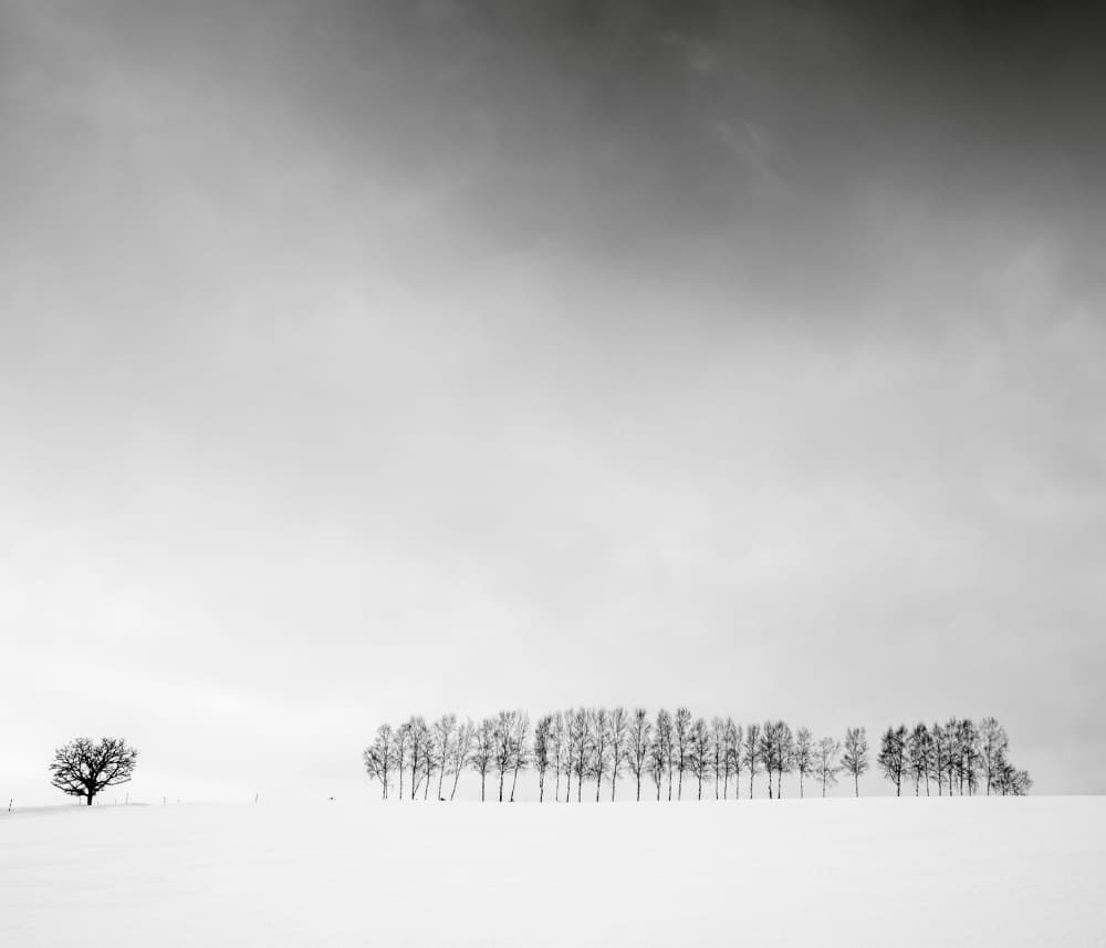 Winter Field Solitude by Robert Bolton — canvas wall art