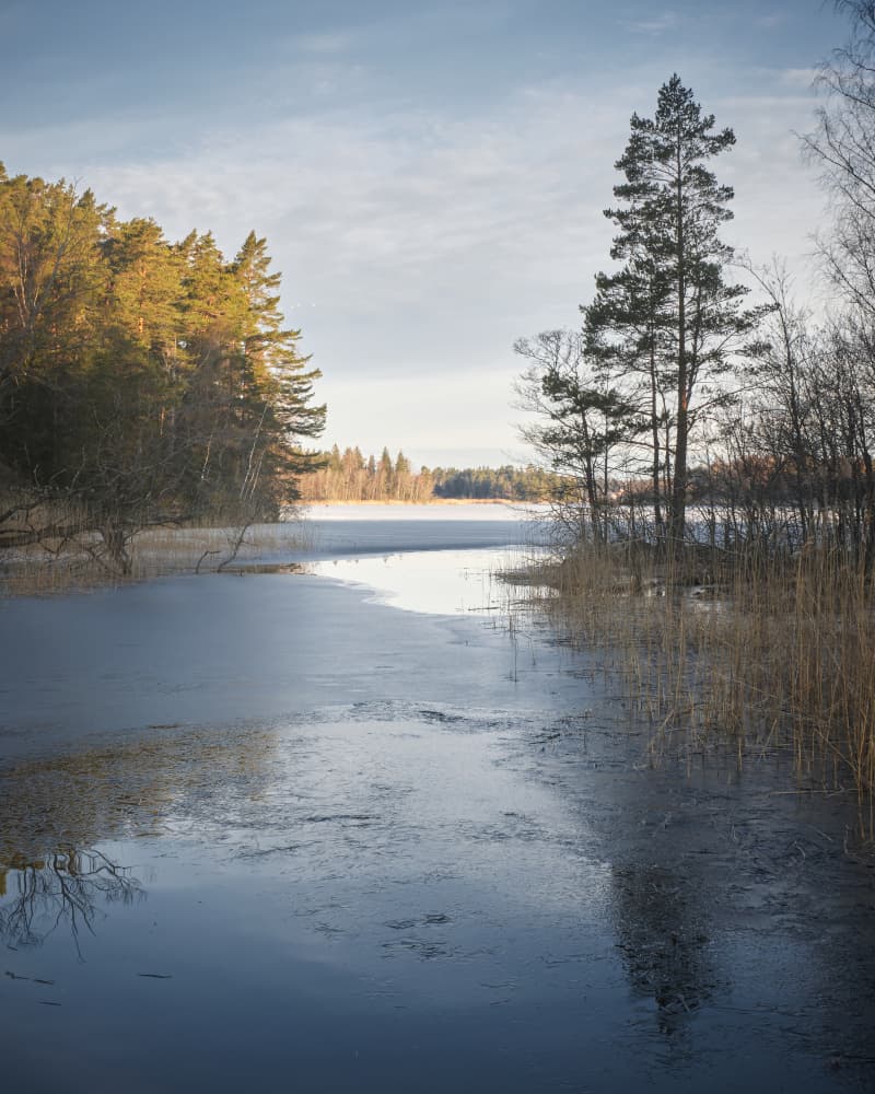 Sunlit Frozen Lake by Hamed Bank — canvas wall art
