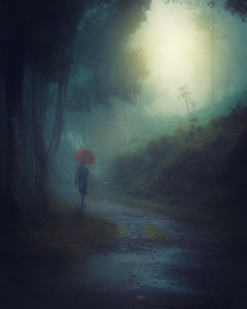 Red Umbrella Misty Forest by Rudi Gunawan — canvas wall art