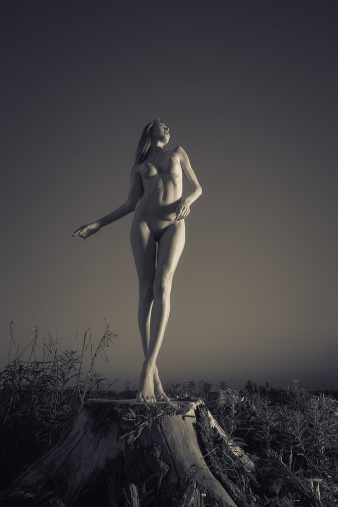 Graceful Figure Nature Pose by Rostovskiy Anton — canvas wall art
