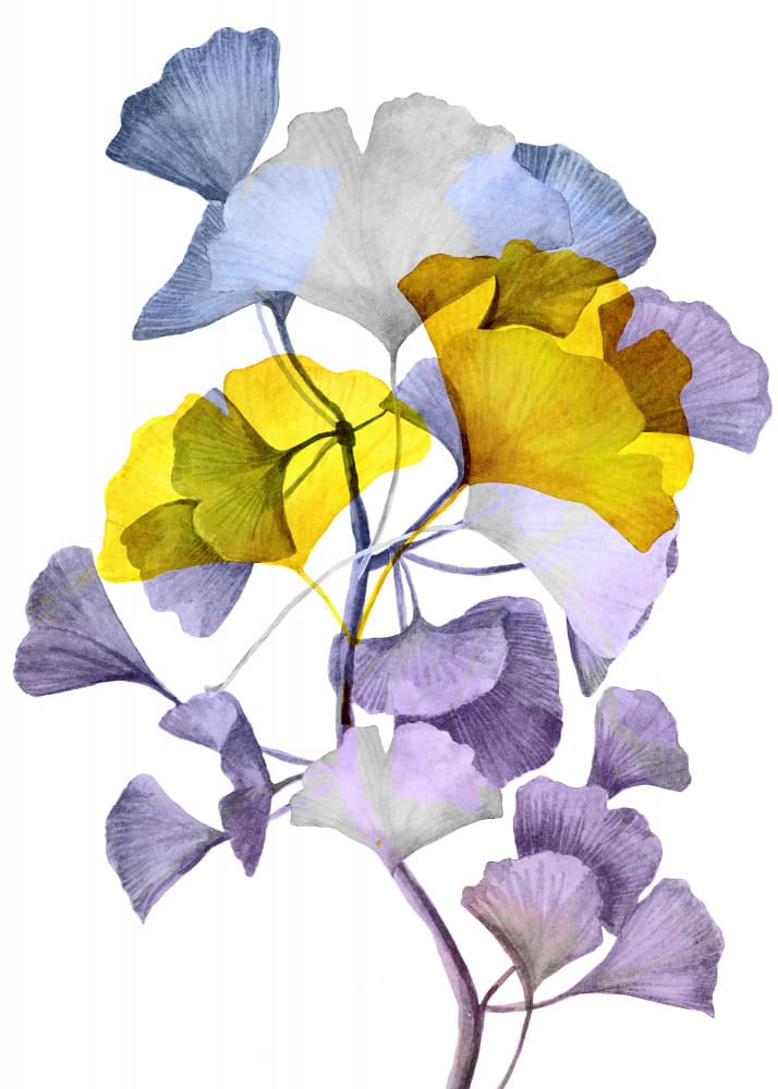 Vibrant Ginkgo Layers by Justyna Jaszke — canvas wall art
