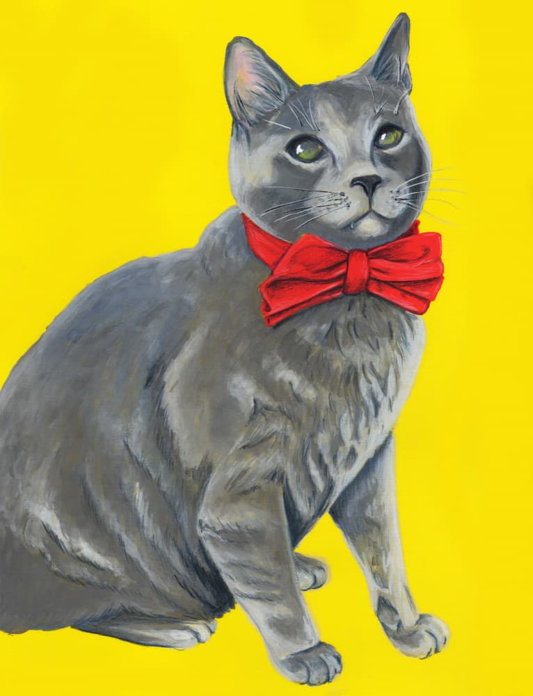 Grey Cat Red Bow Tie
