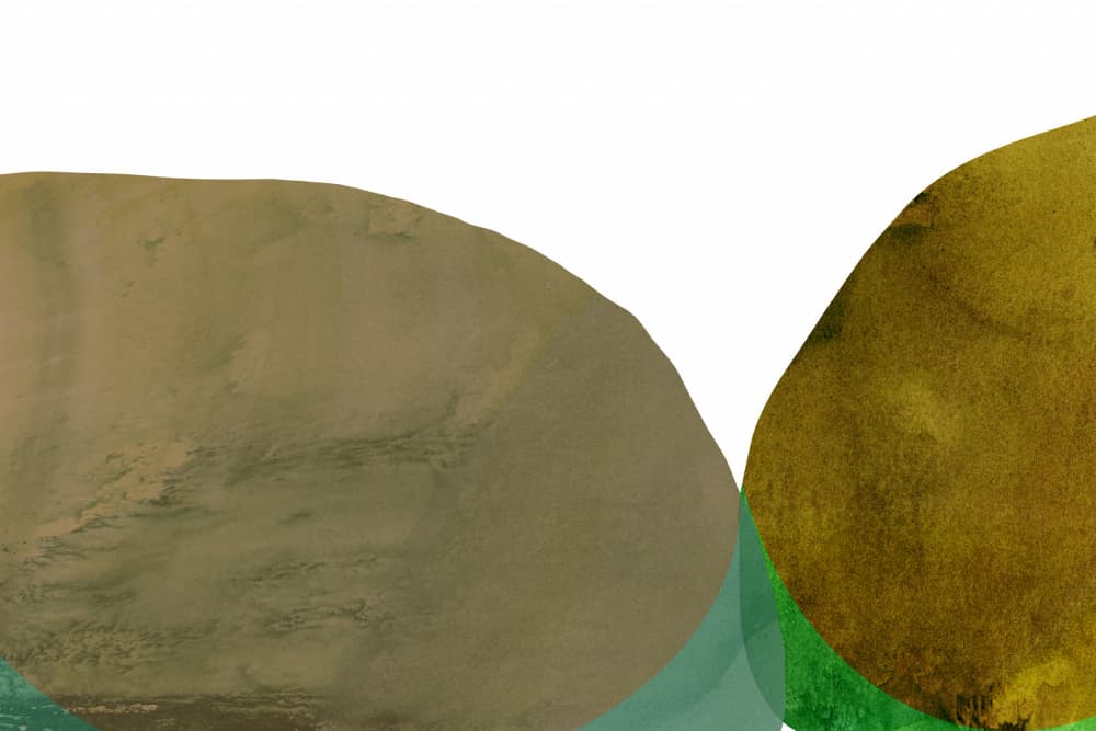 Earthy Abstract Shapes by cartissi — canvas wall art