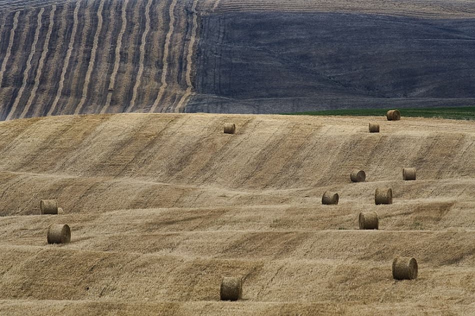 Golden Hay Bales by Jure Kravanja — canvas wall art