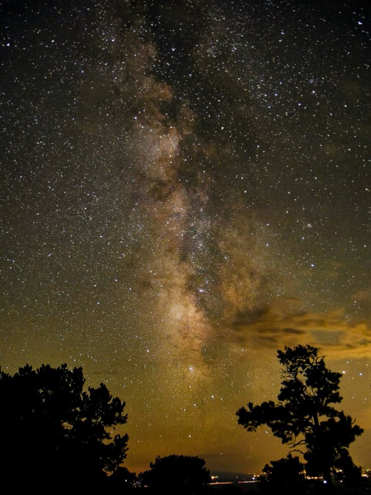 Milky Way Over Trees by Del Mundo Imagery — canvas wall art
