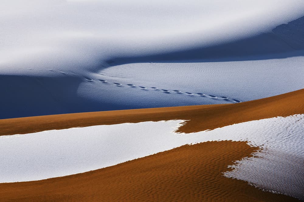 Snowy Desert Dunes by UU — canvas wall art