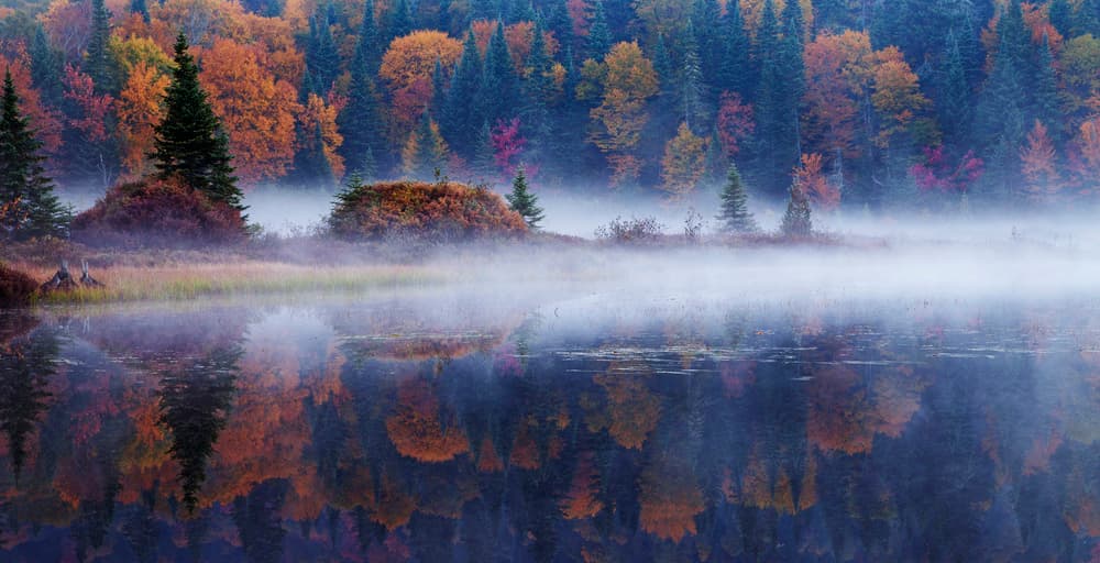 Misty Autumn Lake Reflections by Mircea Costina — canvas wall art