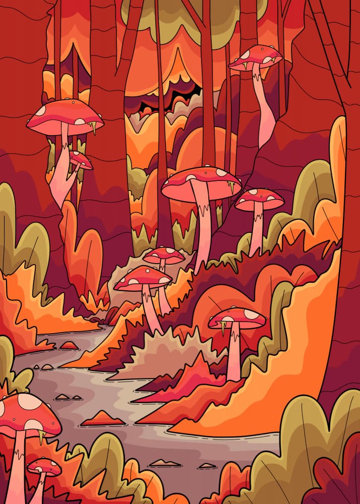 Whimsical Mushroom Forest by Stephen Wade — canvas wall art