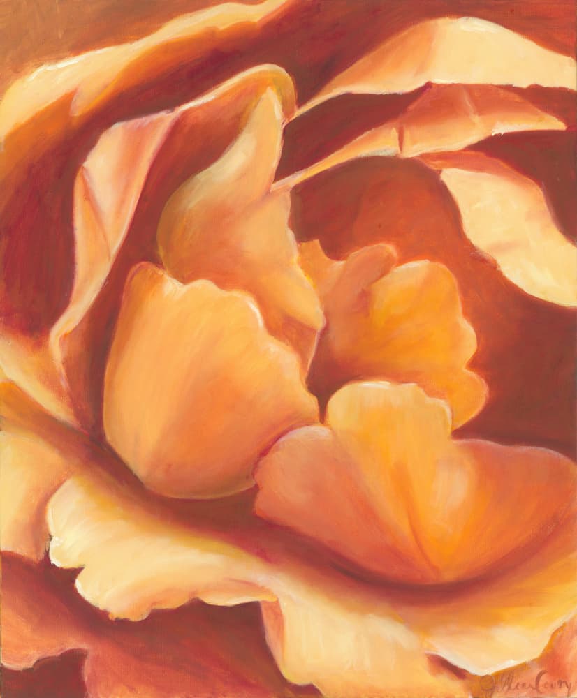 Soft Orange Bloom by Jillian Claire — canvas wall art