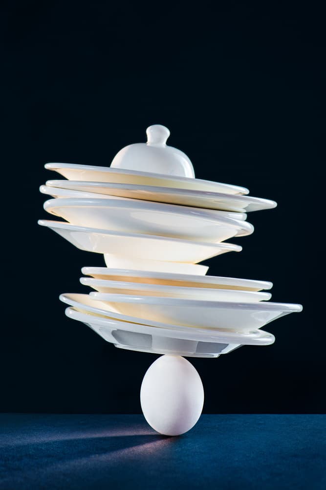 Delicate Plate Balance by Dina Belenko — canvas wall art