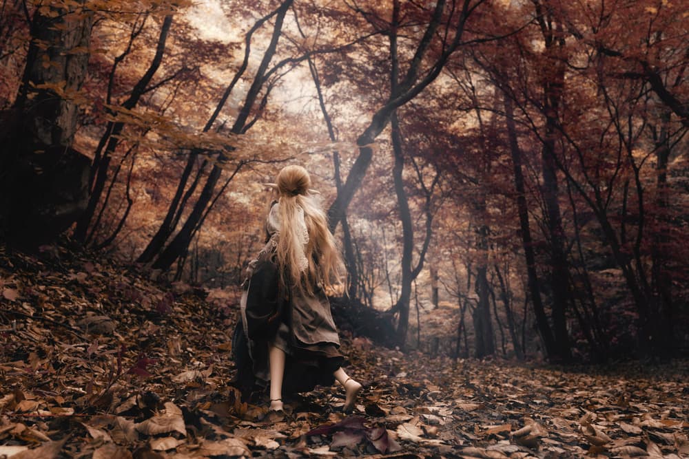 Enchanted Autumn Forest by Suzuhiko Suzuki — canvas wall art