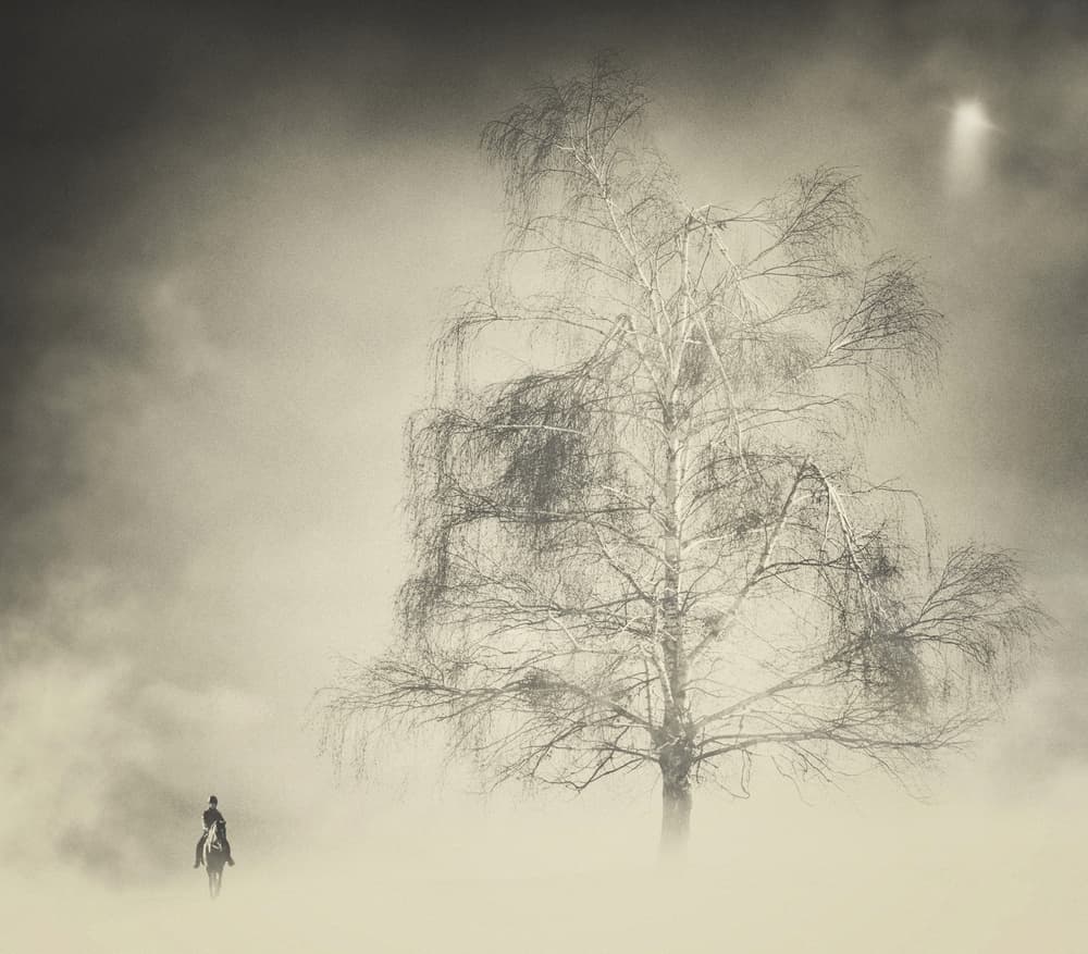 Ethereal Rider and Tree by Samir Pajic — canvas wall art