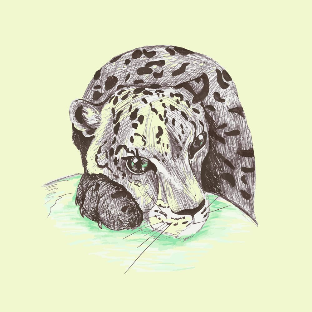 Resting Leopard Sketch by Marika Barsrsind — canvas wall art