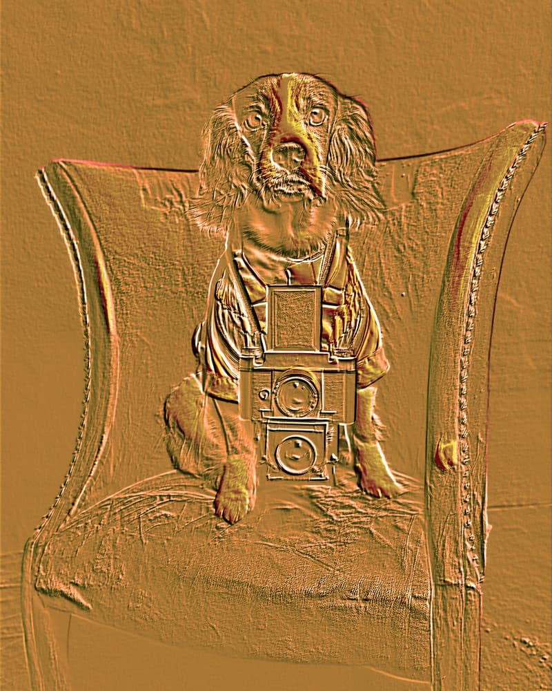Vintage Dog Photographer by Santhosh ch — canvas wall art