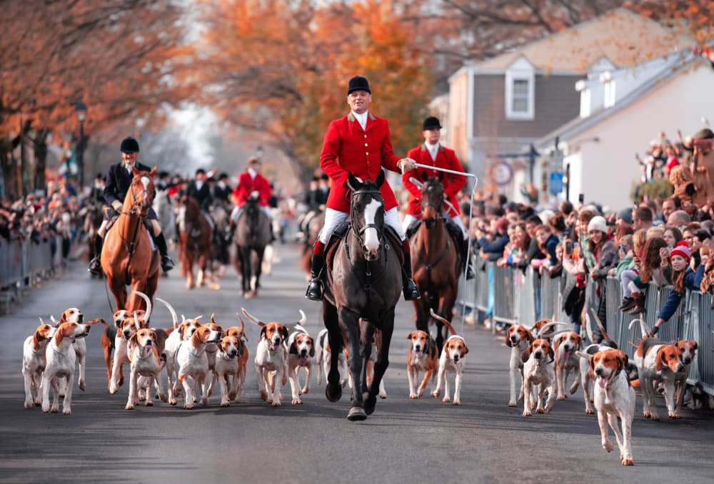 Fox Hunt Parade by Catherine Wang — canvas wall art