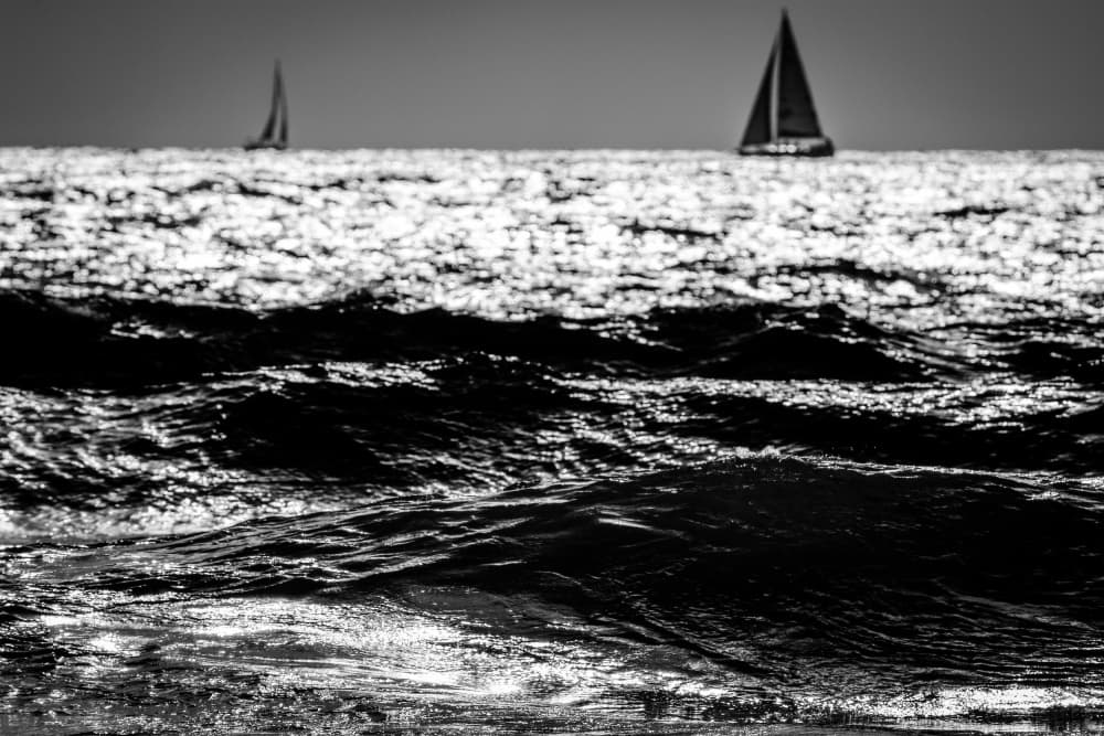 Black and White Sailboats by Tal Paz-Fridman — canvas wall art