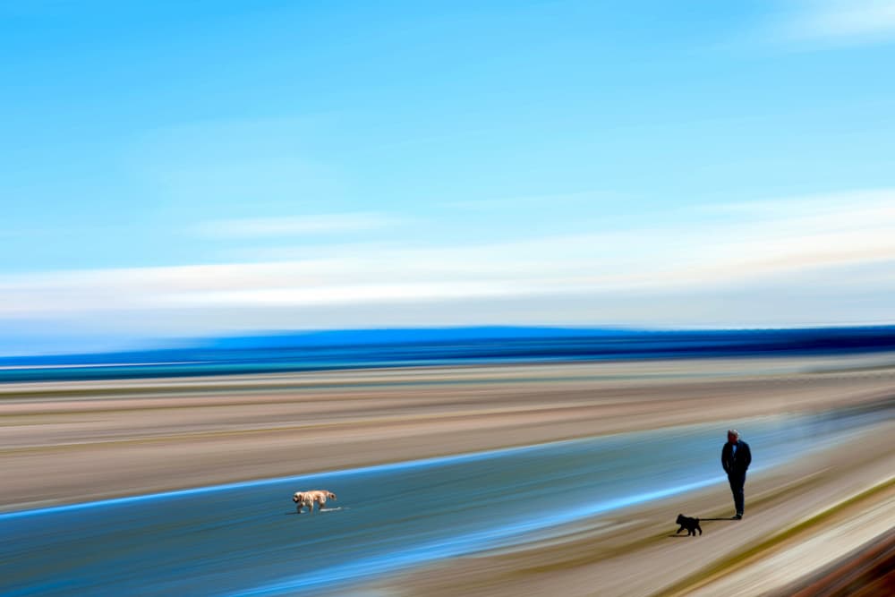 Blurred Beach Companions by Barbara Zielinska — canvas wall art