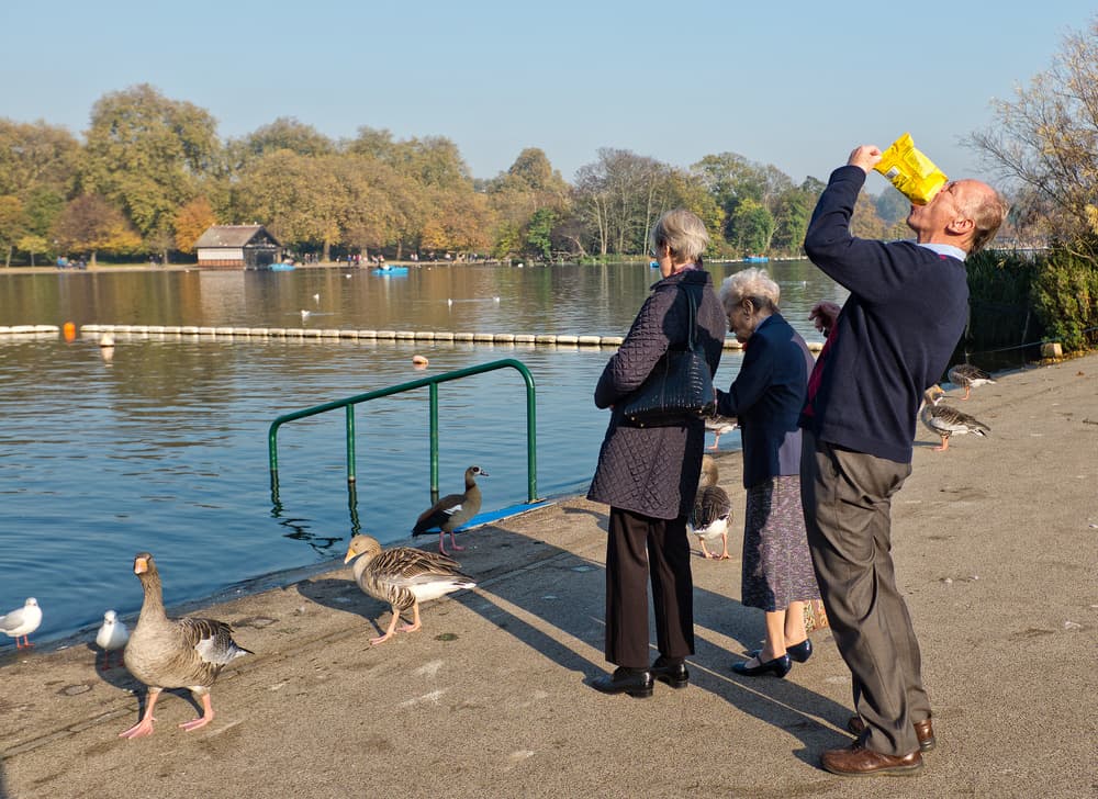 Elderly Enjoying Park Lake by Lorenzo Grifantini — canvas wall art