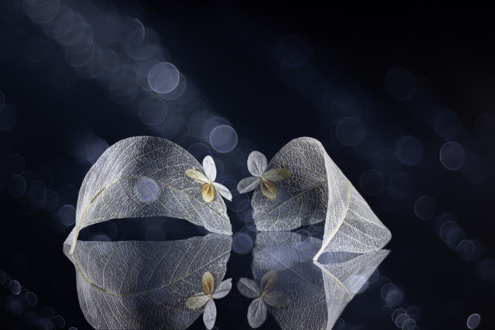 Ethereal Leaf Reflections by Igor Kopcev — canvas wall art