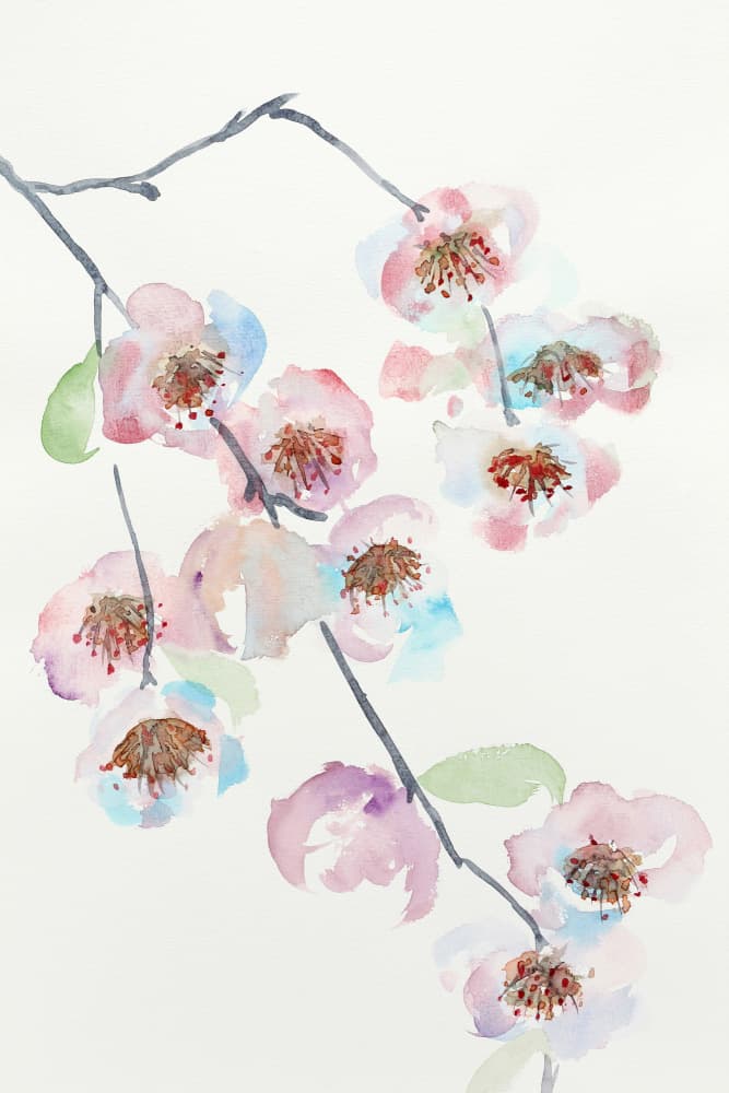 Delicate Pink Blossoms by Natalie Bruns — canvas wall art