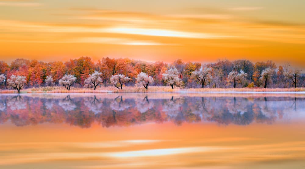 Frosted Autumn Waters by Ling  Lu — canvas wall art
