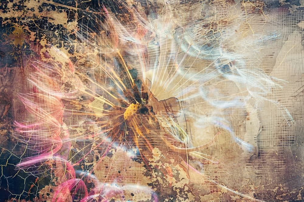 Ethereal Dandelion Burst by Rafal Kulik — canvas wall art