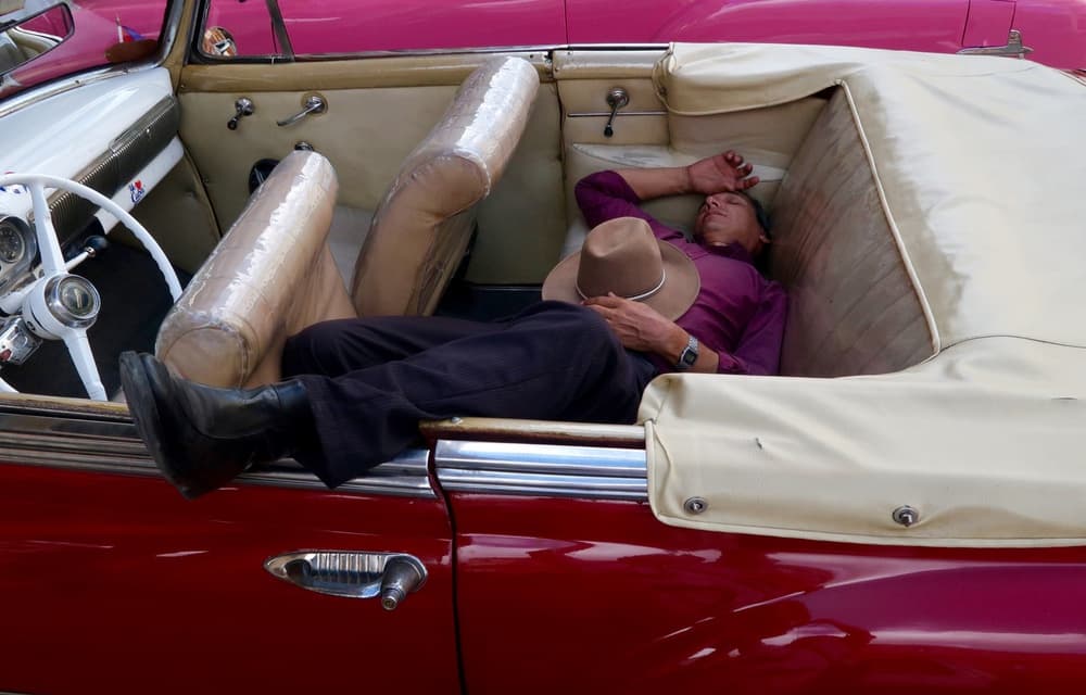 Classic Car Nap by Yawen Wu — canvas wall art