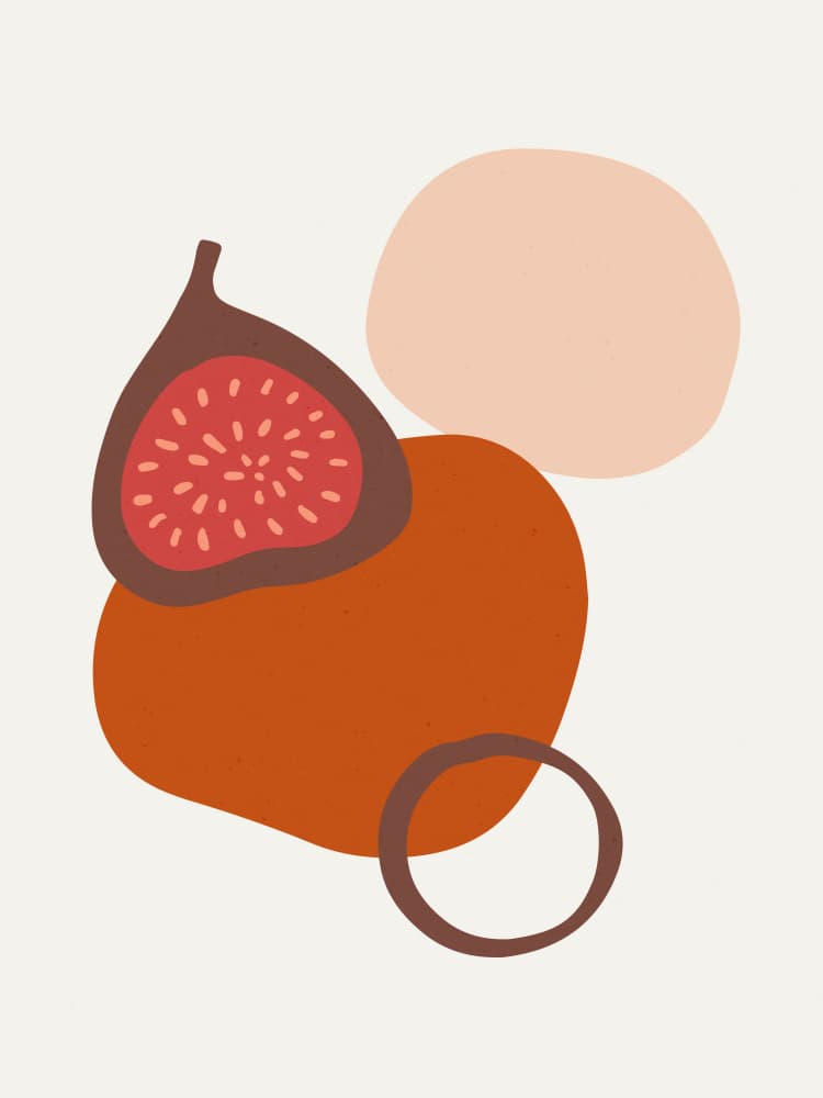 Fig Harmony by Treechild — canvas wall art