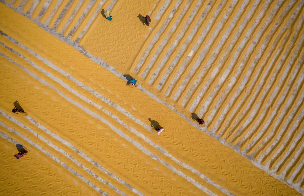 Golden Field Workers by Azim Khan Ronnie — canvas wall art