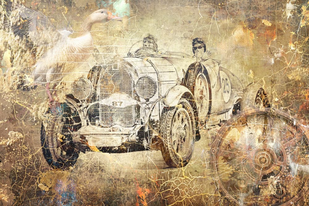 Vintage Race Car Goose by Rafal Kulik — canvas wall art