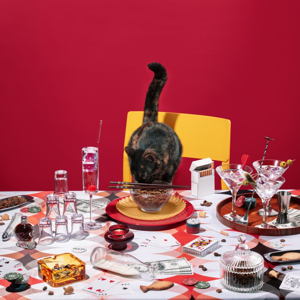 Cat's Poker Night by Julia Ramiro — canvas wall art
