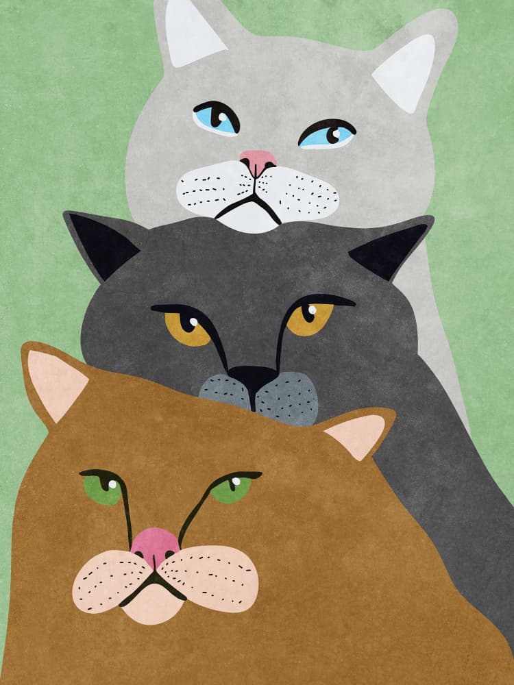 Untitled by Raissa Oltmanns — canvas wall art