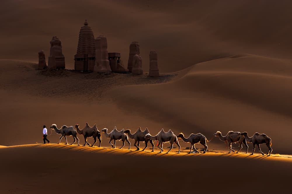 Ancient Desert Caravan Journey by Mei Xu — canvas wall art