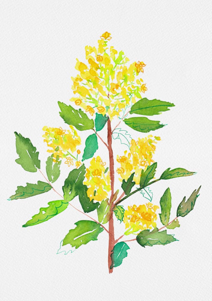 Vibrant Spring Blooms by Kata Botanical — canvas wall art